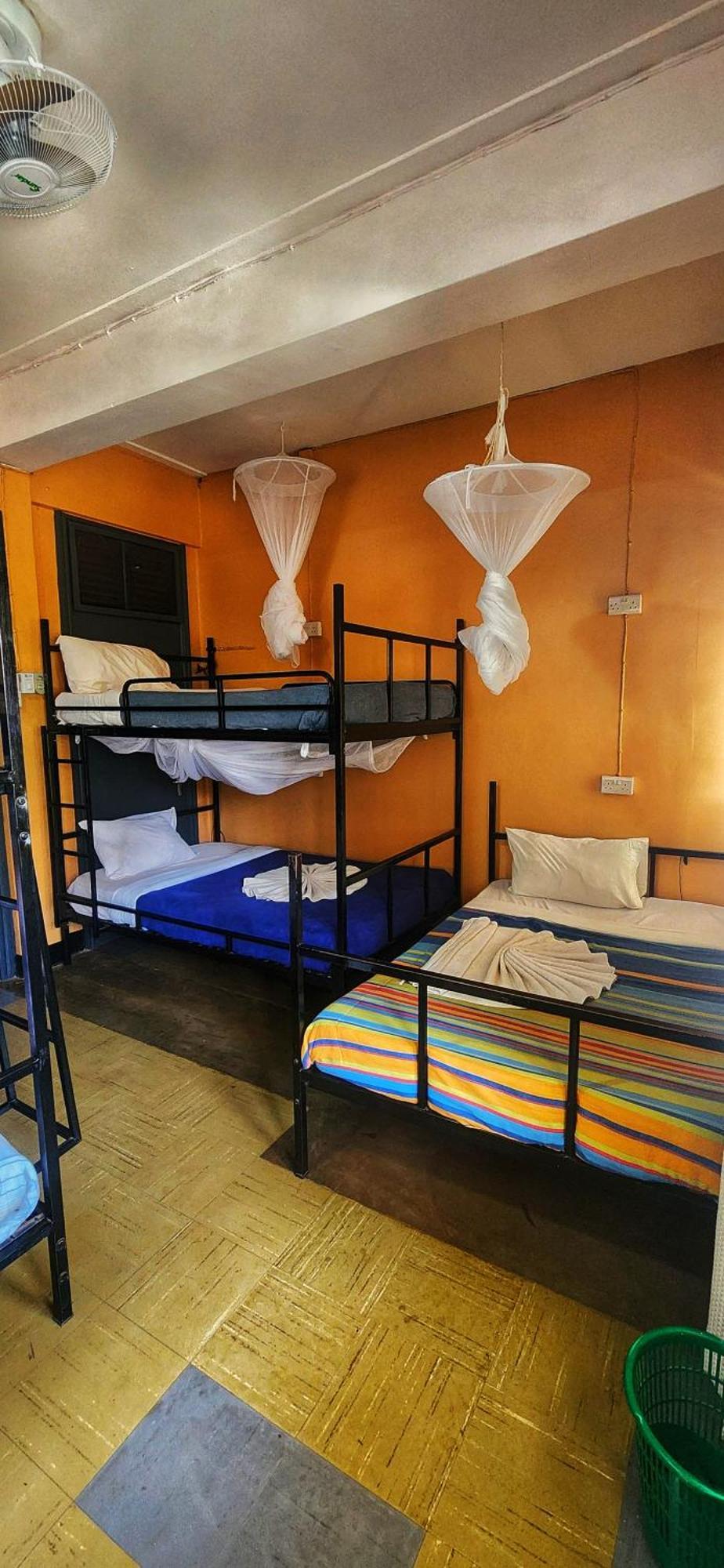 We Travel Hostel Moshi Buitenkant foto